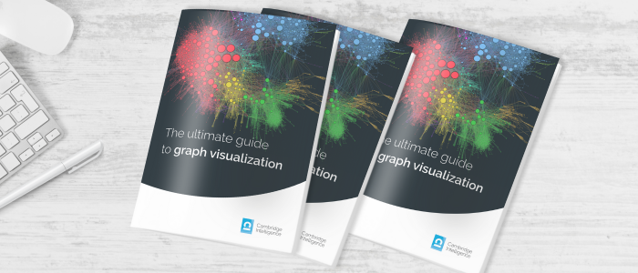 the ultimate guide to graph visualization